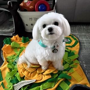 Meet your Posher, Sandy